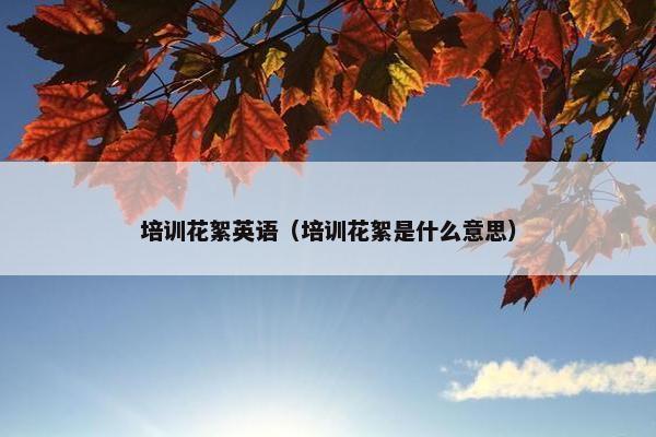 培训花絮英语（培训花絮是什么意思）