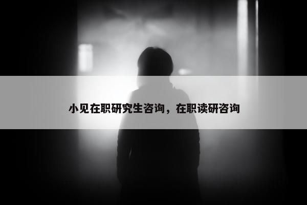 小见在职研究生咨询，在职读研咨询