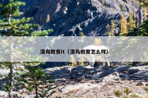 清鸟教育it（清鸟教育怎么样）
