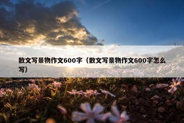 散文写景物作文600字（散文写景物作文600字怎么写）