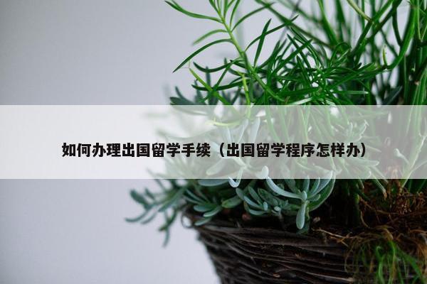 如何办理出国留学手续（出国留学程序怎样办）