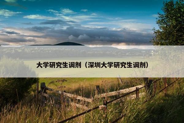 大学研究生调剂（深圳大学研究生调剂）