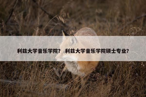 利兹大学音乐学院？ 利兹大学音乐学院硕士专业？