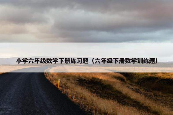 小学六年级数学下册练习题（六年级下册数学训练题）