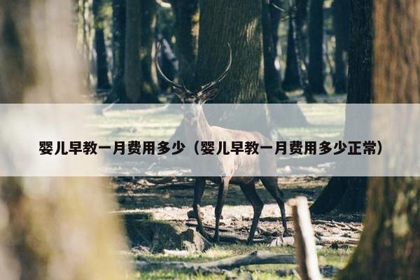 婴儿早教一月费用多少（婴儿早教一月费用多少正常）