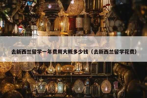 去新西兰留学一年费用大概多少钱（去新西兰留学花费）