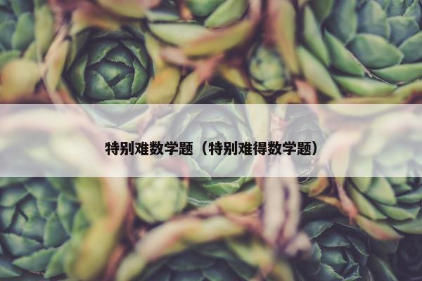 特别难数学题（特别难得数学题）