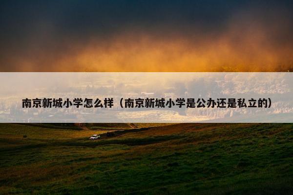 南京新城小学怎么样（南京新城小学是公办还是私立的）