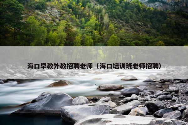 海口早教外教招聘老师（海口培训班老师招聘）