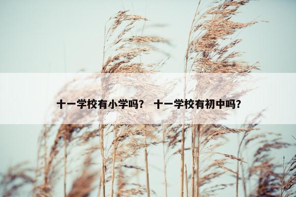 十一学校有小学吗？ 十一学校有初中吗？