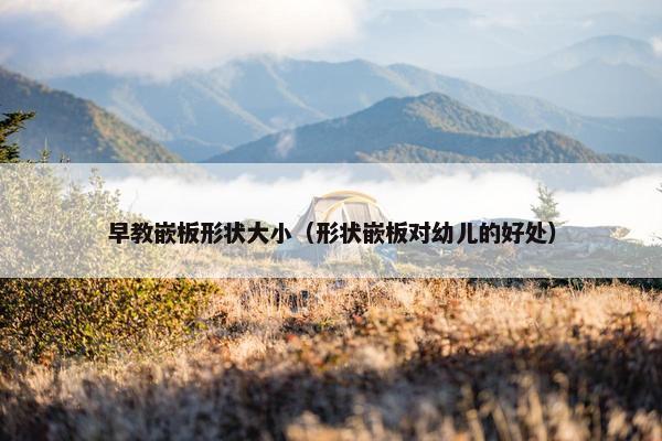 早教嵌板形状大小（形状嵌板对幼儿的好处）