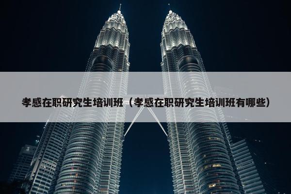 孝感在职研究生培训班（孝感在职研究生培训班有哪些）