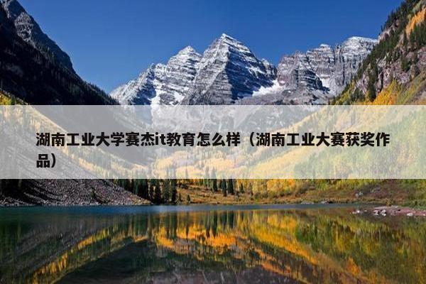 湖南工业大学赛杰it教育怎么样（湖南工业大赛获奖作品）