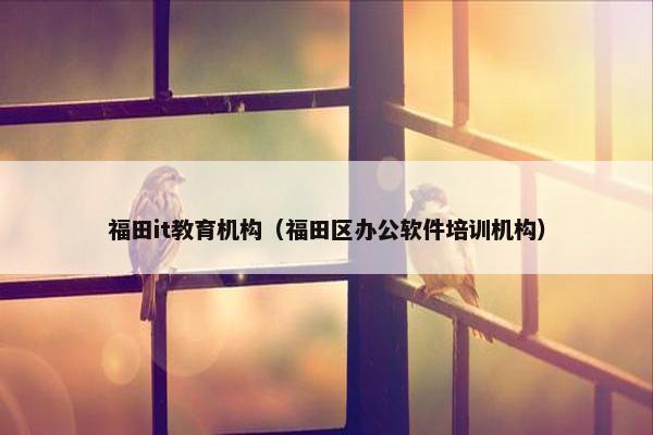 福田it教育机构（福田区办公软件培训机构）