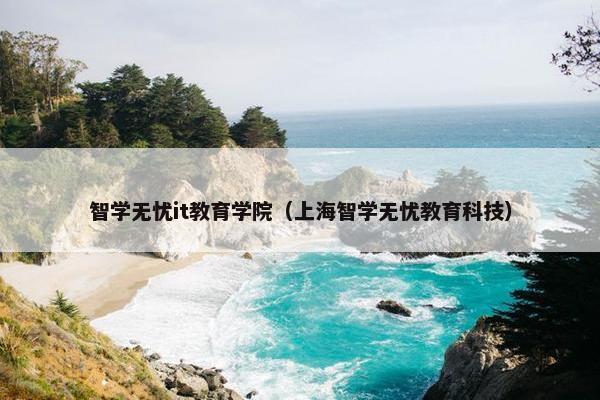 智学无忧it教育学院（上海智学无忧教育科技）