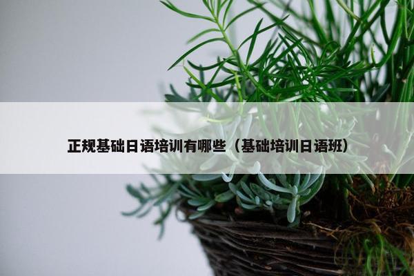 正规基础日语培训有哪些（基础培训日语班）