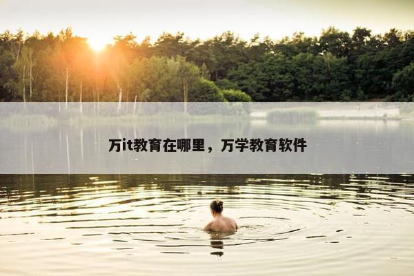 万it教育在哪里，万学教育软件