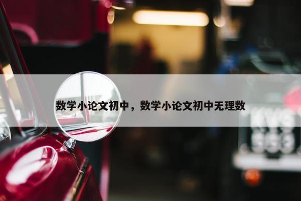 数学小论文初中，数学小论文初中无理数