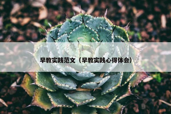 早教实践范文（早教实践心得体会）