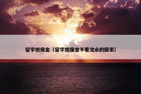 留学担保金（留学担保金不看流水的国家）
