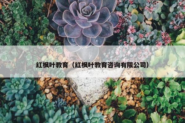 红枫叶教育（红枫叶教育咨询有限公司）