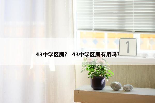 43中学区房？ 43中学区房有用吗？