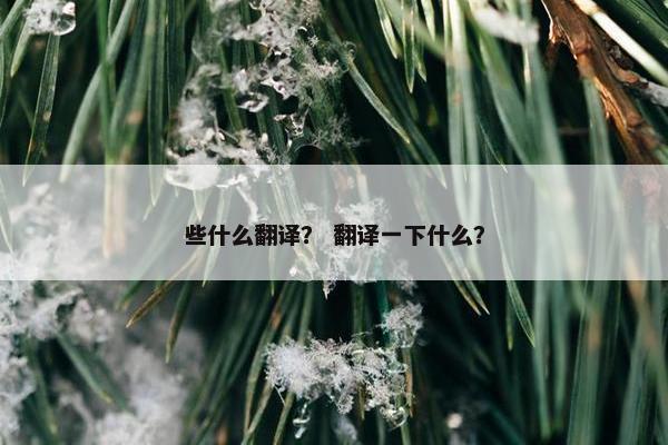 些什么翻译？ 翻译一下什么？