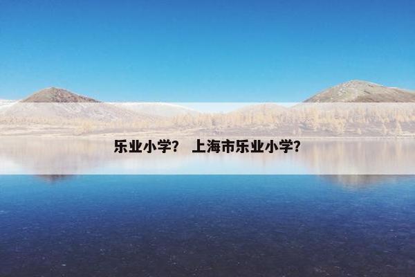 乐业小学？ 上海市乐业小学？