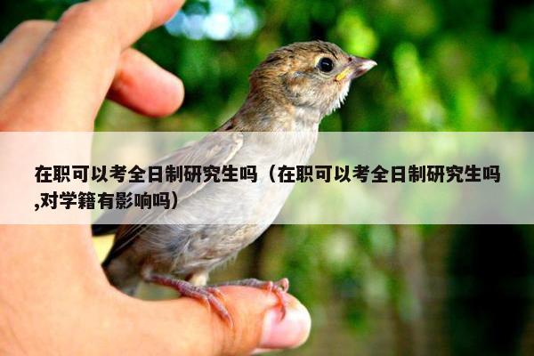 在职可以考全日制研究生吗（在职可以考全日制研究生吗,对学籍有影响吗）