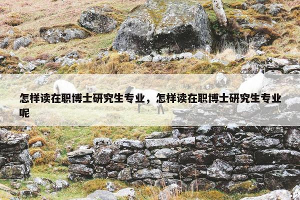 怎样读在职博士研究生专业，怎样读在职博士研究生专业呢