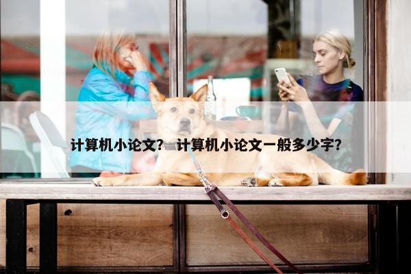 计算机小论文？ 计算机小论文一般多少字？