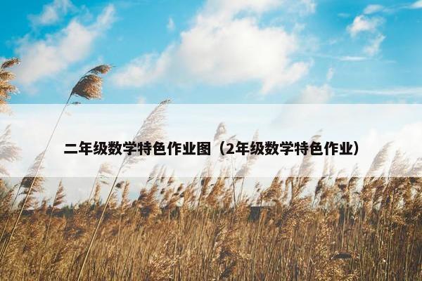 二年级数学特色作业图（2年级数学特色作业）
