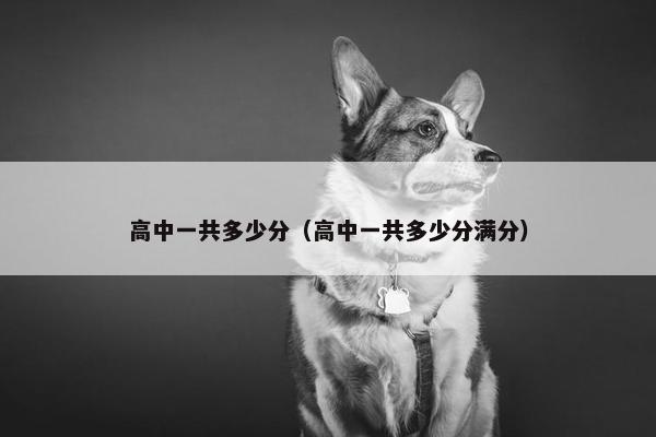 高中一共多少分（高中一共多少分满分）