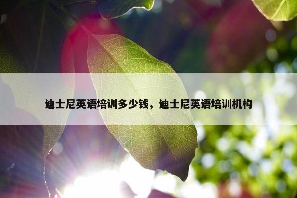 迪士尼英语培训多少钱，迪士尼英语培训机构