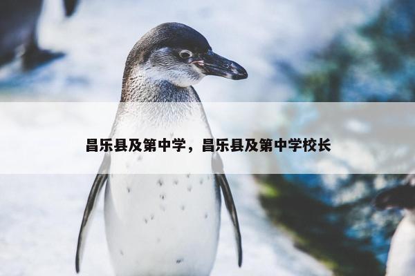 昌乐县及第中学，昌乐县及第中学校长