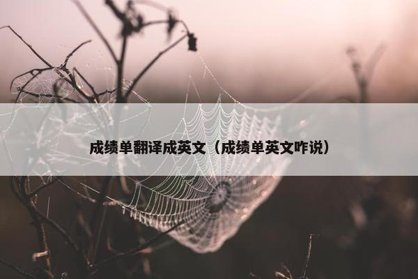 成绩单翻译成英文（成绩单英文咋说）