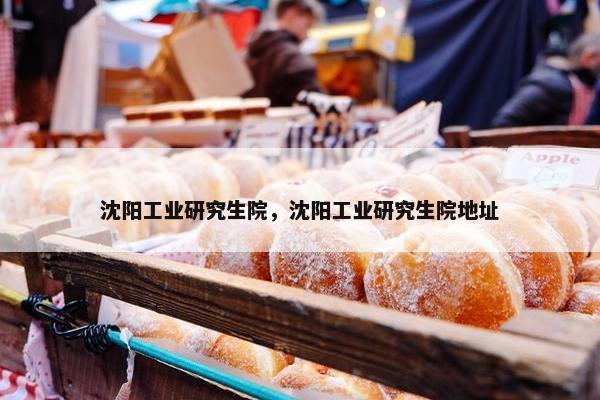 沈阳工业研究生院，沈阳工业研究生院地址