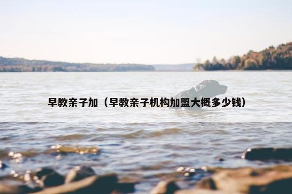 早教亲子加（早教亲子机构加盟大概多少钱）