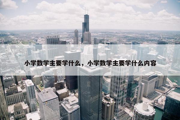 小学数学主要学什么，小学数学主要学什么内容