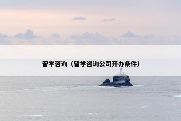 留学咨询（留学咨询公司开办条件）