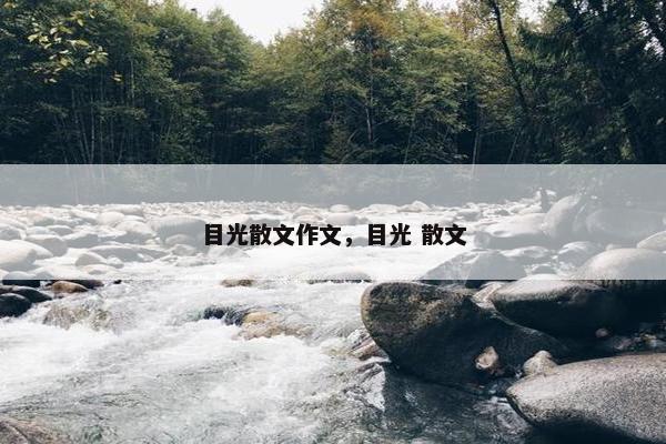 目光散文作文，目光 散文