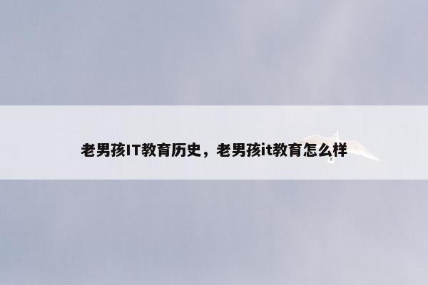 老男孩IT教育历史，老男孩it教育怎么样