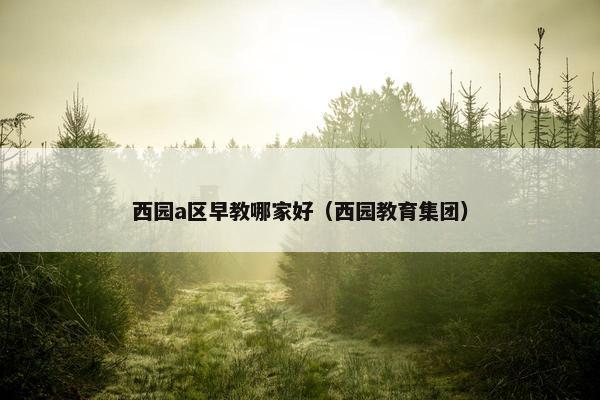 西园a区早教哪家好（西园教育集团）