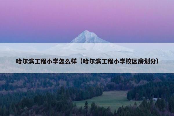哈尔滨工程小学怎么样（哈尔滨工程小学校区房划分）