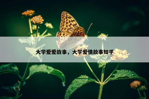 大学爱爱故事，大学爱情故事知乎
