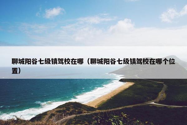 聊城阳谷七级镇驾校在哪（聊城阳谷七级镇驾校在哪个位置）