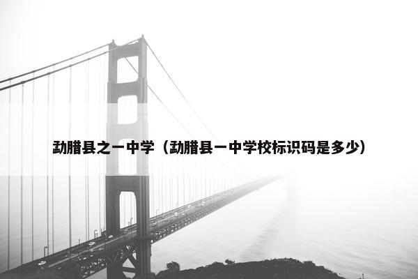 勐腊县之一中学（勐腊县一中学校标识码是多少）