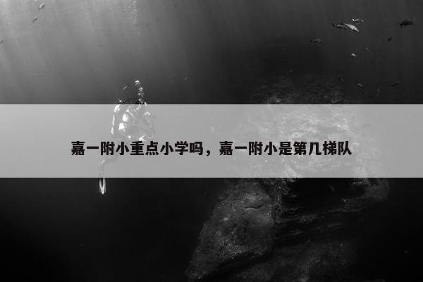 嘉一附小重点小学吗，嘉一附小是第几梯队