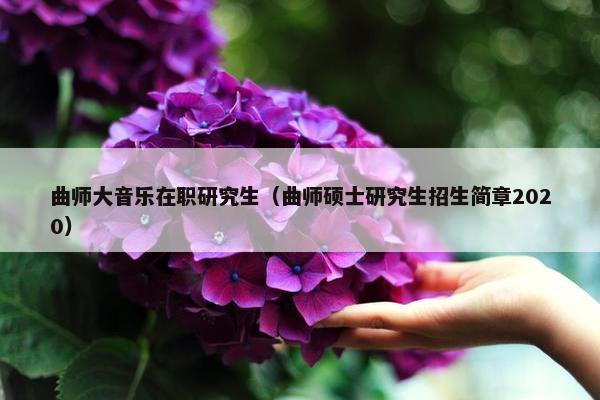 曲师大音乐在职研究生（曲师硕士研究生招生简章2020）
