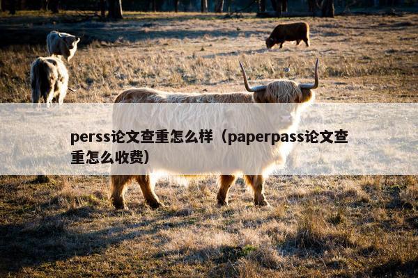 perss论文查重怎么样（paperpass论文查重怎么收费）